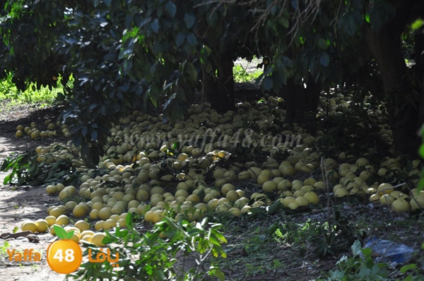 bayara visiting (14).JPG